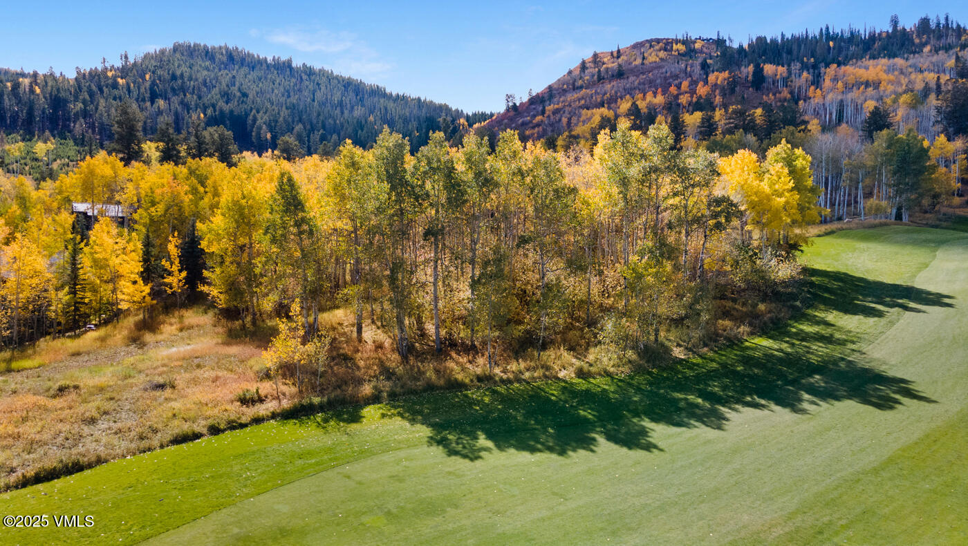 320 Elk Spring Trail Edwards, CO 81632 - Photo 13 of 36 320 Elk Springs Trail MLS-13