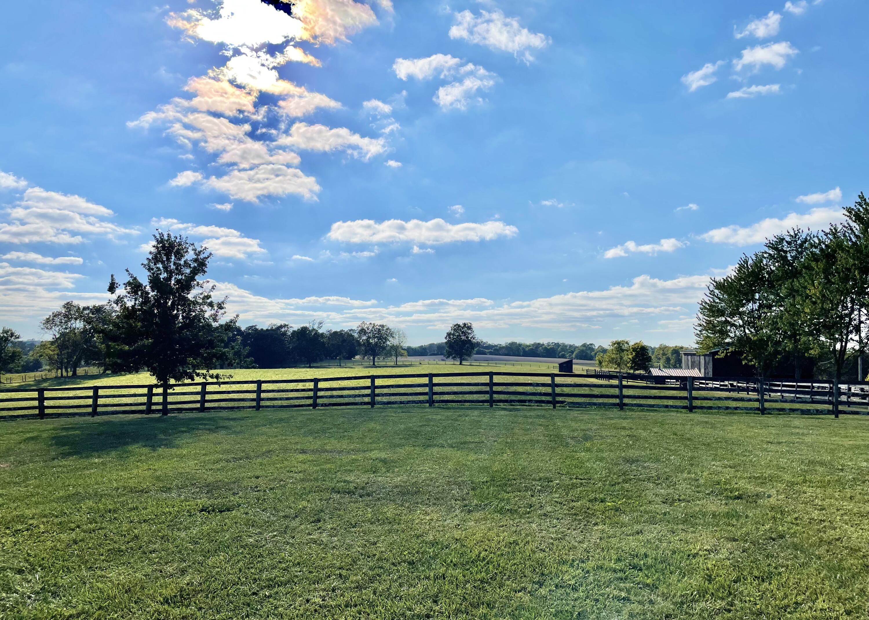 1407 Ruddles Mill Road Paris, KY 40361 - Photo 52 of 56 BC86392E-1111-408F-B98B-177E7FEC0C9A