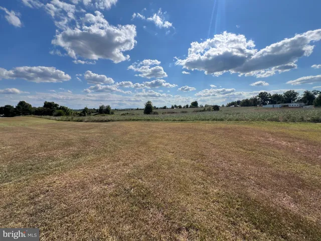 a view of a lake with houses in the background