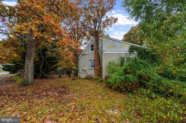a backyard of a house with plants and large tree