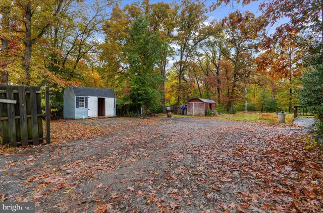a view of a house with backyard and a tree