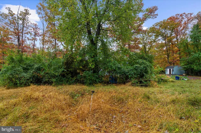a view of a yard with trees
