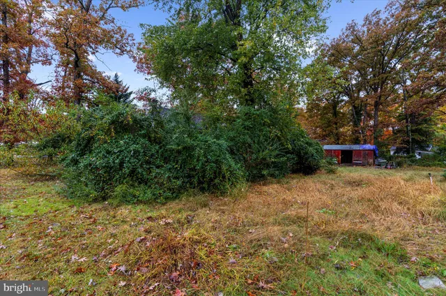 a view of outdoor space and yard