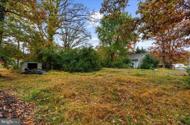 a backyard of a house with trees and entertaining space