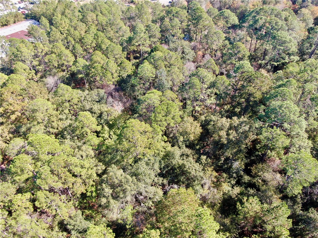 291 Sawdust Trail Waycross, GA 31503 - Photo 12 of 14