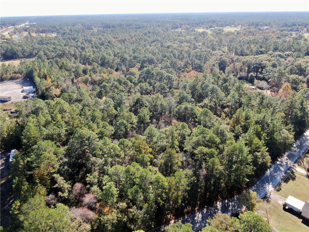 291 Sawdust Trail Waycross, GA 31503 - Photo 13 of 14