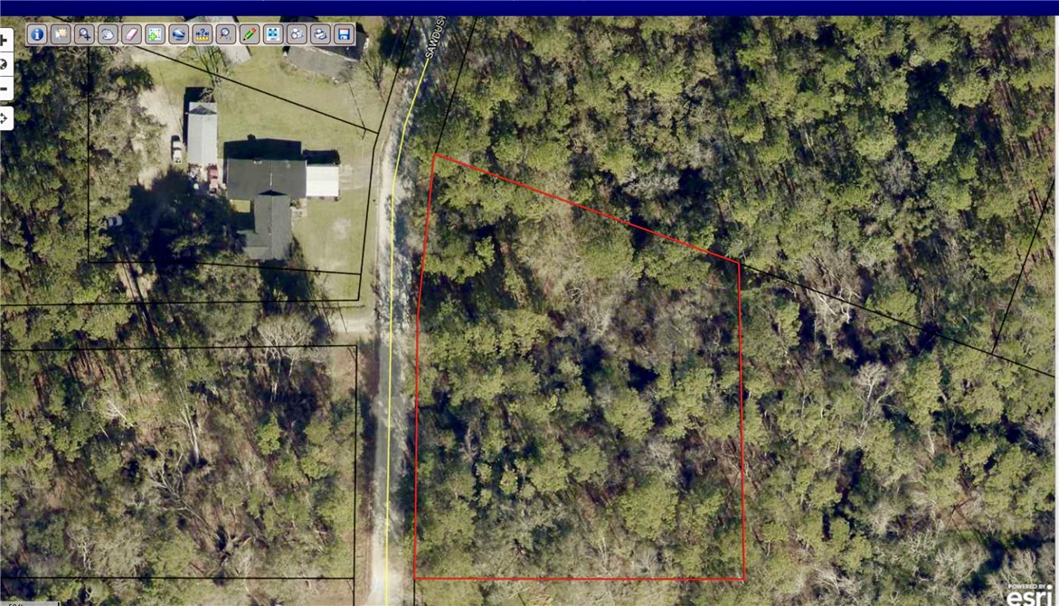 291 Sawdust Trail Waycross, GA 31503 - Photo 2 of 14