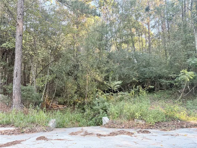 $48,000 | 291 Sawdust Trail, Waycross, GA 31503