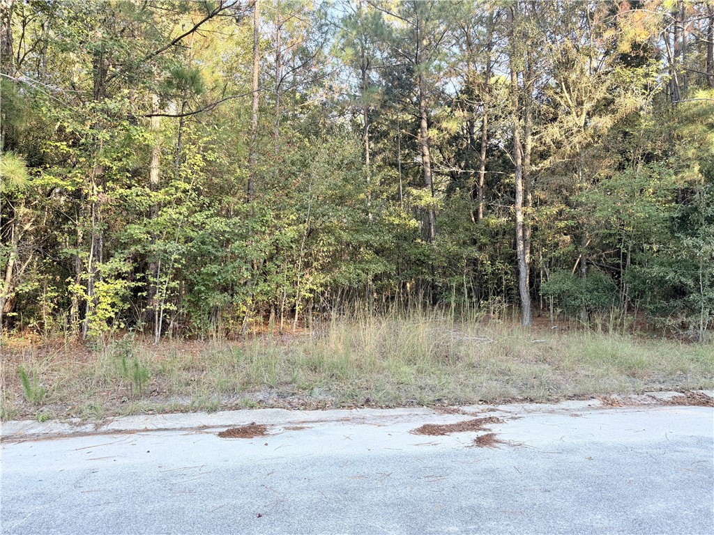 291 Sawdust Trail Waycross, GA 31503 - Photo 4 of 14