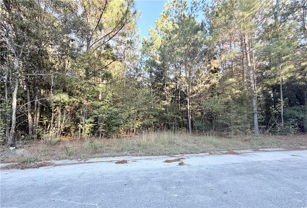 291 Sawdust Trail Waycross, GA 31503 - Photo 5 of 14