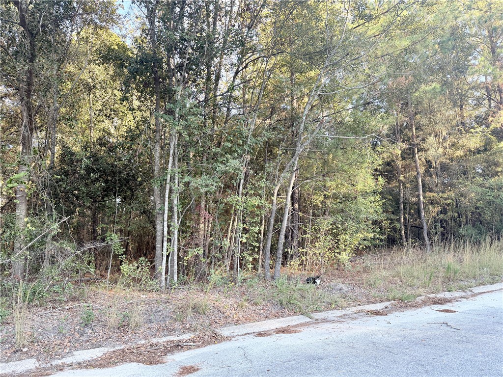 291 Sawdust Trail Waycross, GA 31503 - Photo 6 of 14