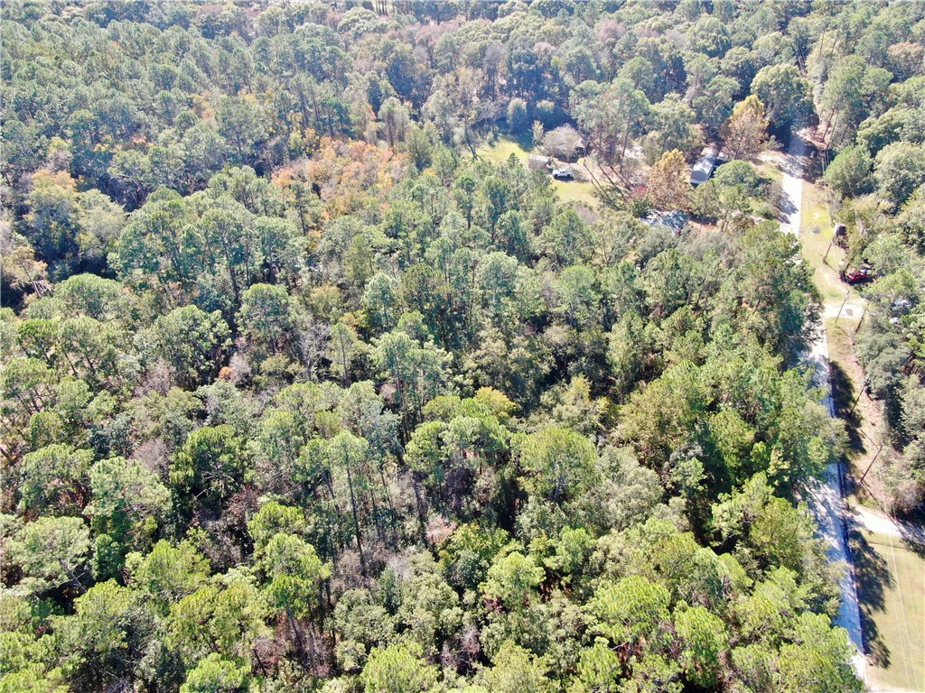 291 Sawdust Trail Waycross, GA 31503 - Photo 9 of 14