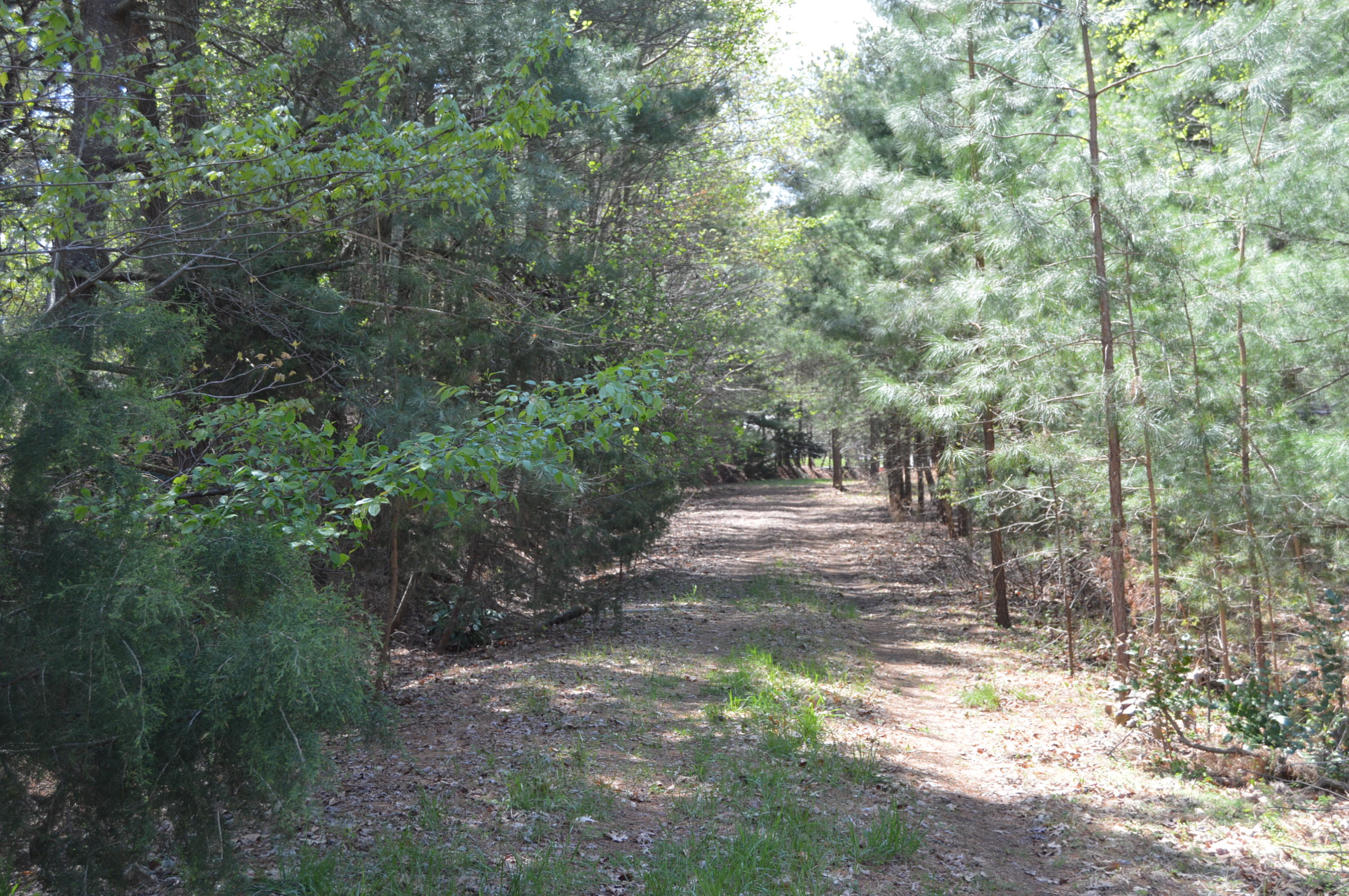 Lot 3 Anthony Ford Road Penhook, VA 24137 - Photo 10 of 18 Access Road to Lot