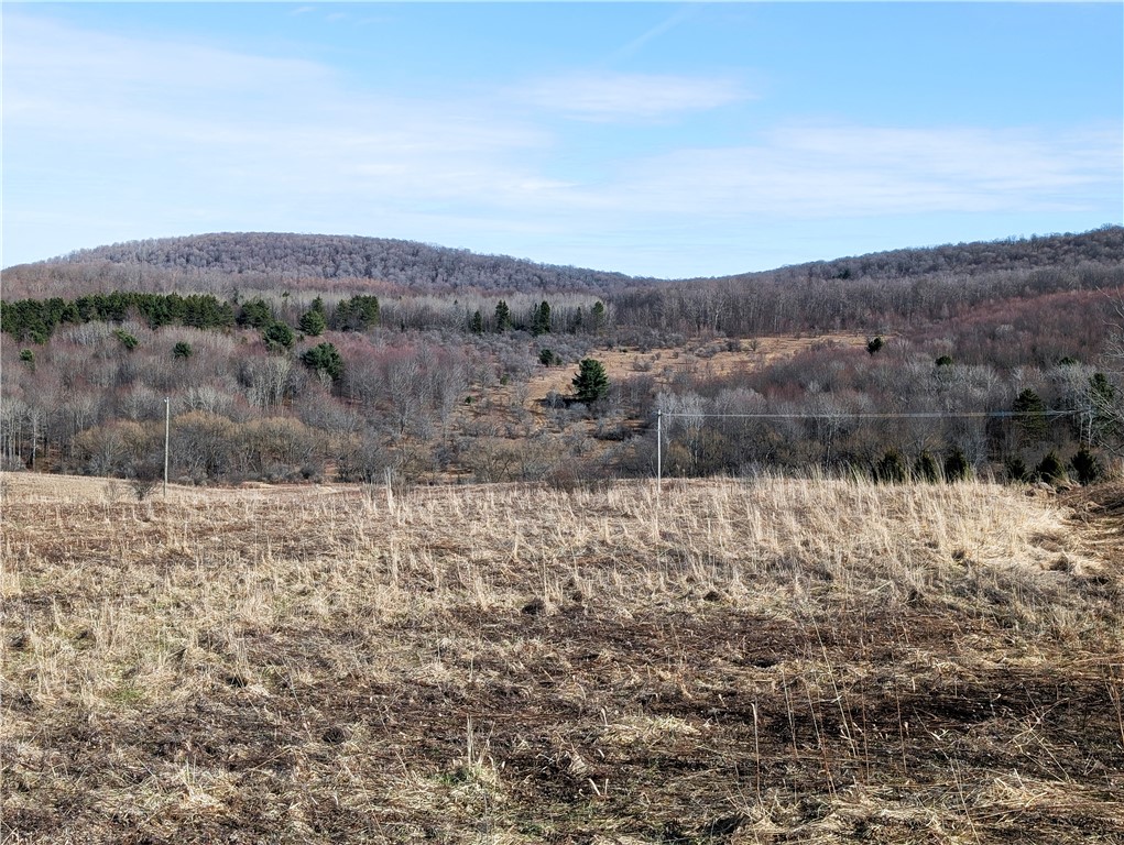 1525 Beaver Hill Road Wellsville, NY 14895 - Photo 2 of 6