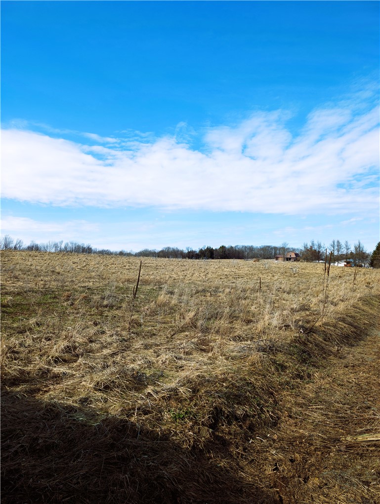 1525 Beaver Hill Road Wellsville, NY 14895 - Photo 3 of 6