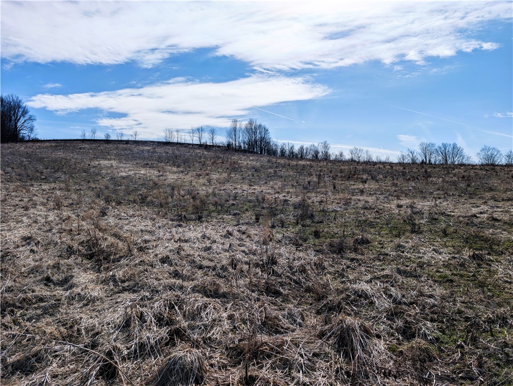 1525 Beaver Hill Road Wellsville, NY 14895 - Photo 5 of 6