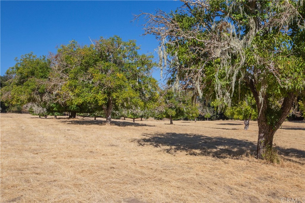 0 Ridge Templeton, CA 93465 - Photo 3 of 19 Gallery Image 3