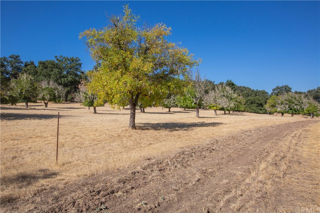0 Ridge Templeton, CA 93465 - Photo 4 of 19 Gallery Image 4