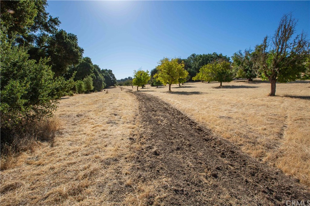 0 Ridge Templeton, CA 93465 - Photo 5 of 19 Gallery Image 5