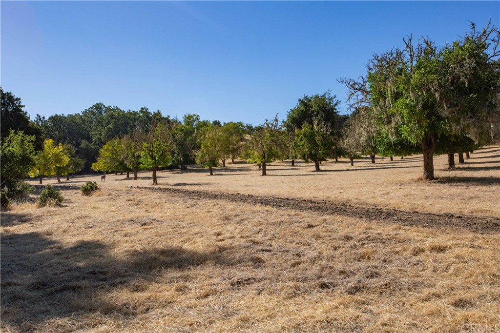 0 Ridge Templeton, CA 93465 - Photo 6 of 19 Gallery Image 6
