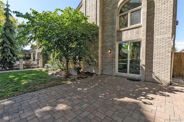 a view of a backyard with plants and large trees