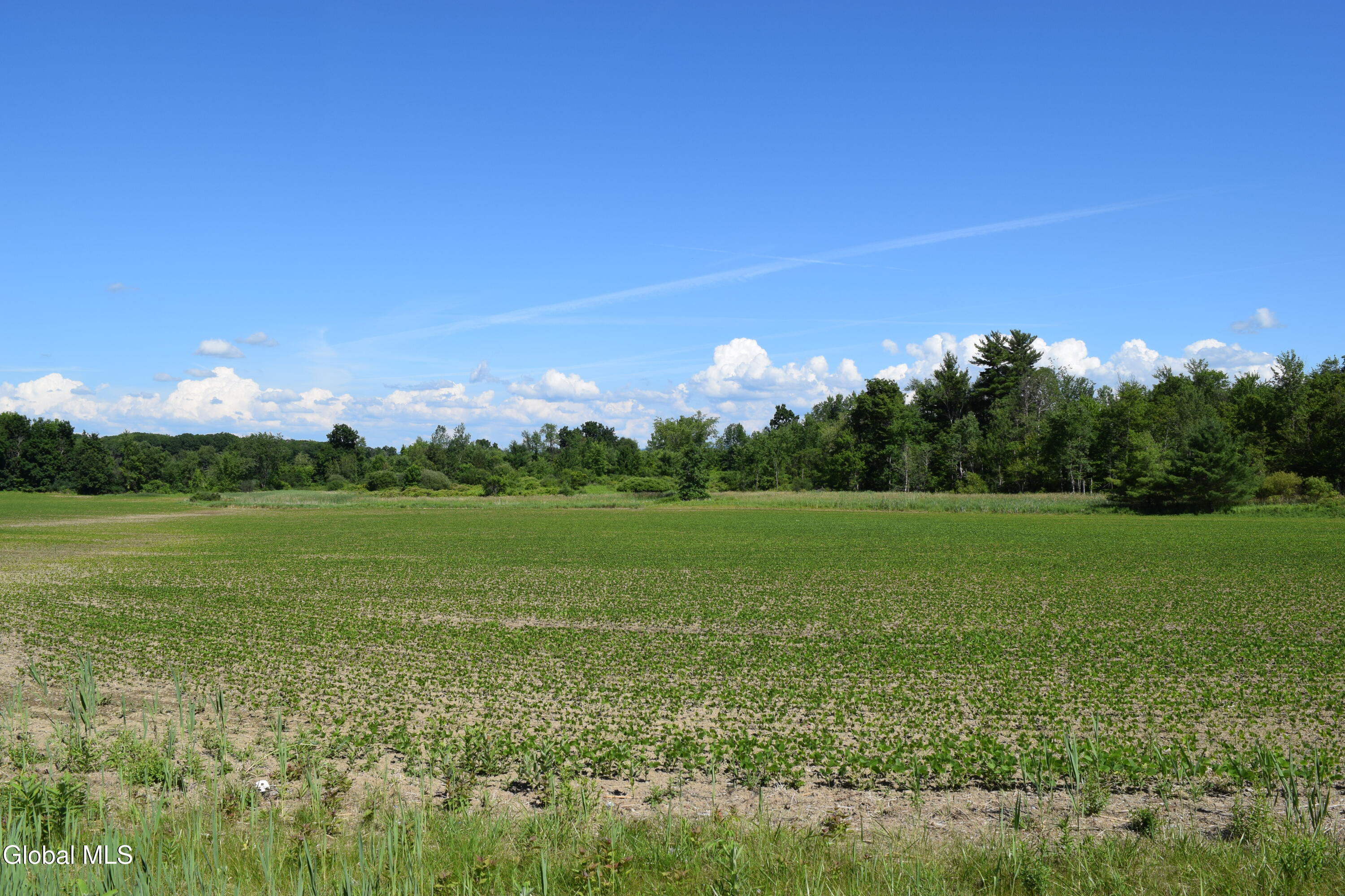 115 Farm To Market Road Halfmoon, NY 12118 - Photo 22 of 22 DSC_0044