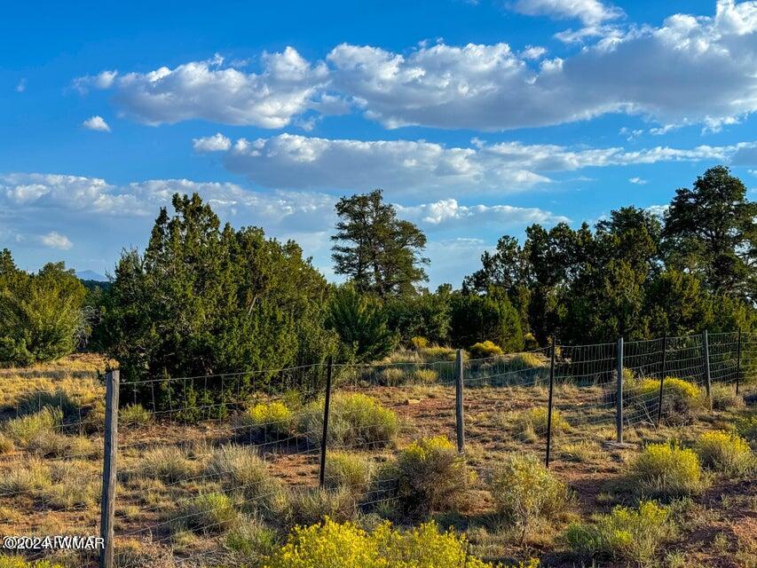 8621 Red Butte Road Williams, AZ 86046 - Photo 1 of 22 20241004051704979668000000-o (1)