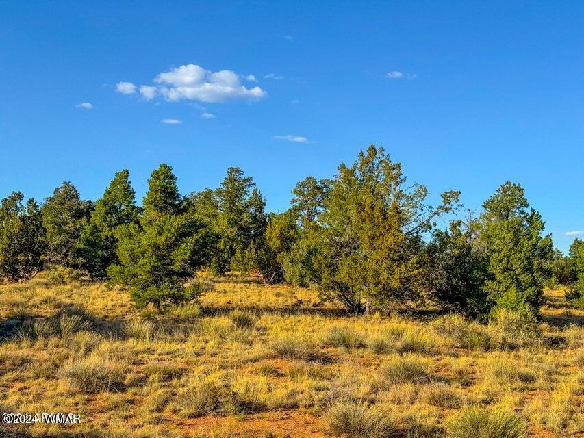 8621 Red Butte Road Williams, AZ 86046 - Photo 12 of 22 20241004051647656527000000-o (1)