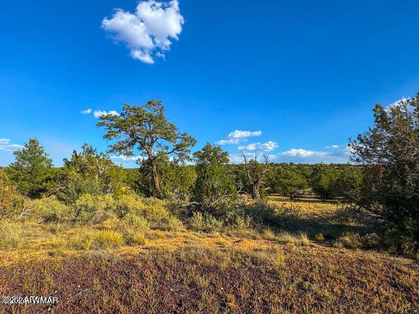 8621 Red Butte Road Williams, AZ 86046 - Photo 14 of 22 20241004051616373514000000-o (1)