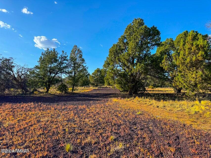 8621 Red Butte Road Williams, AZ 86046 - Photo 15 of 22 20241004051603300648000000-o (1)