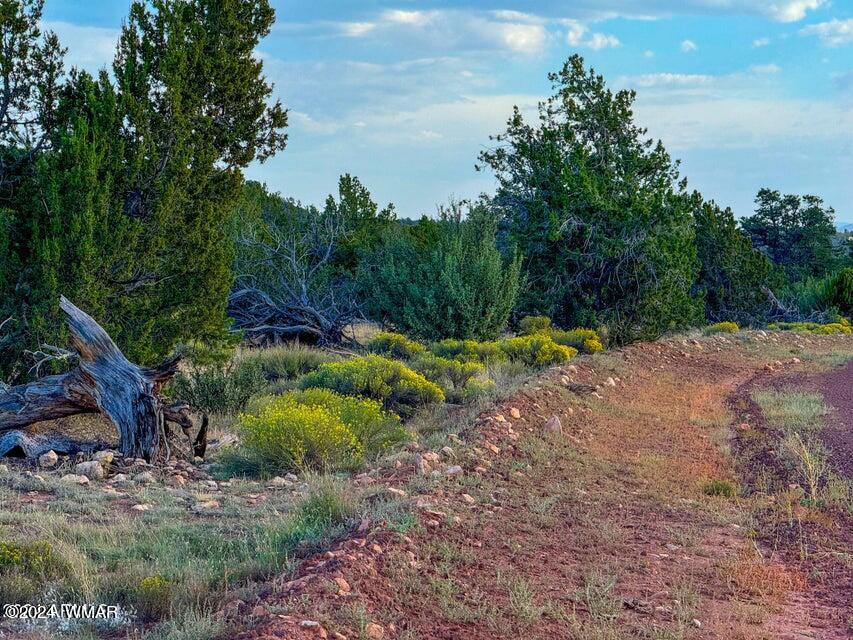 8621 Red Butte Road Williams, AZ 86046 - Photo 16 of 22 20241004051539962675000000-o (1)