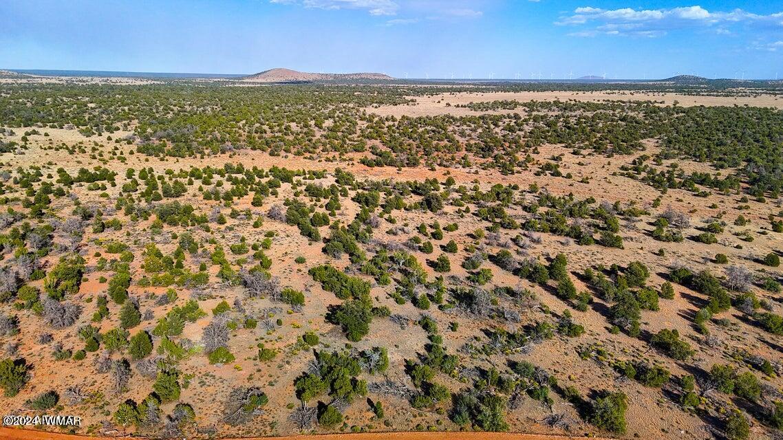8621 Red Butte Road Williams, AZ 86046 - Photo 17 of 22 20241004051313561541000000-o (1)