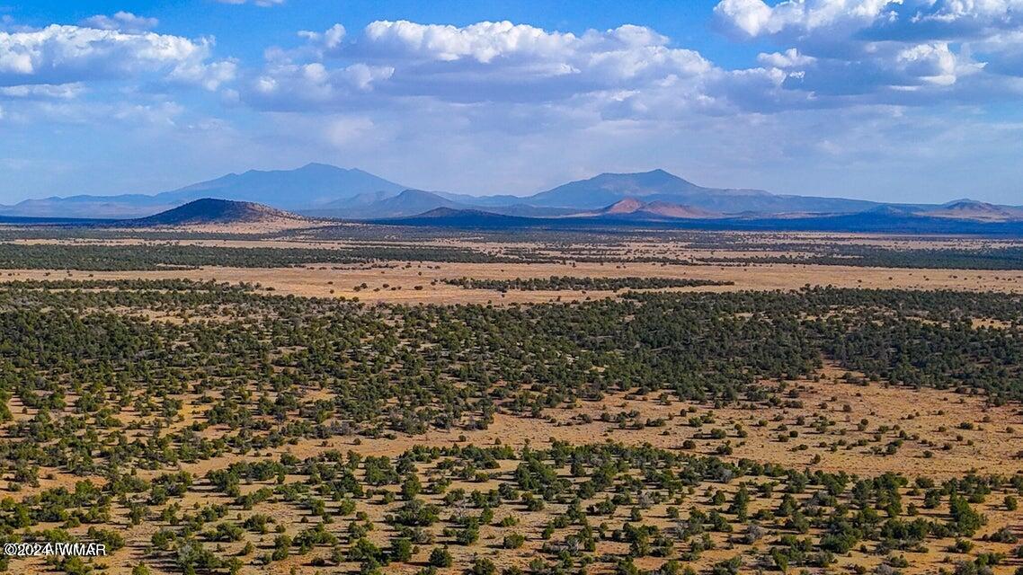 8621 Red Butte Road Williams, AZ 86046 - Photo 20 of 22 20241004051349758243000000-o (1)