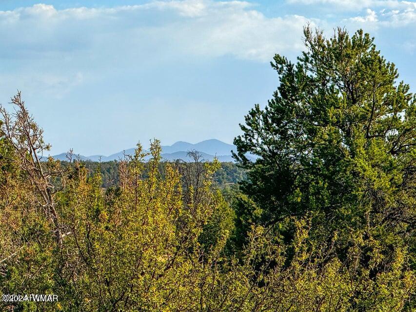 8621 Red Butte Road Williams, AZ 86046 - Photo 2 of 22 20241004051610684894000000-o (1)