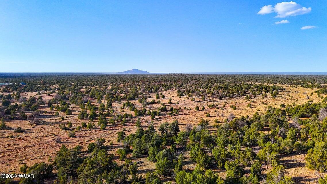 8621 Red Butte Road Williams, AZ 86046 - Photo 21 of 22 20241004051438820380000000-o (1)