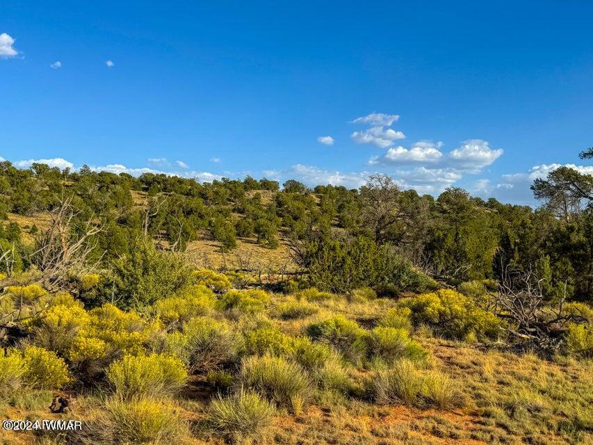 8621 Red Butte Road Williams, AZ 86046 - Photo 8 of 22 20241004051628822497000000-o (1)