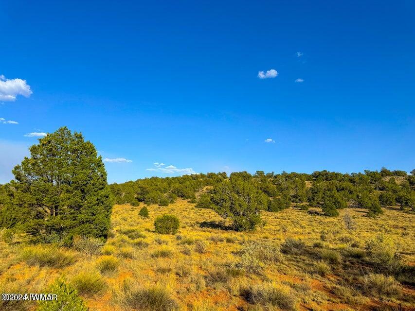 8621 Red Butte Road Williams, AZ 86046 - Photo 9 of 22 20241004051643784737000000-o (1)