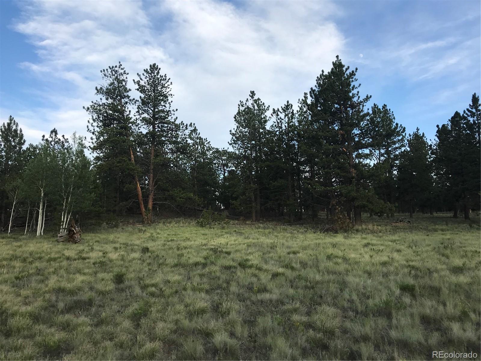 1632 Wagon Wheel Road Hartsel, CO 80449 - Photo 1 of 7 Gallery Image 1