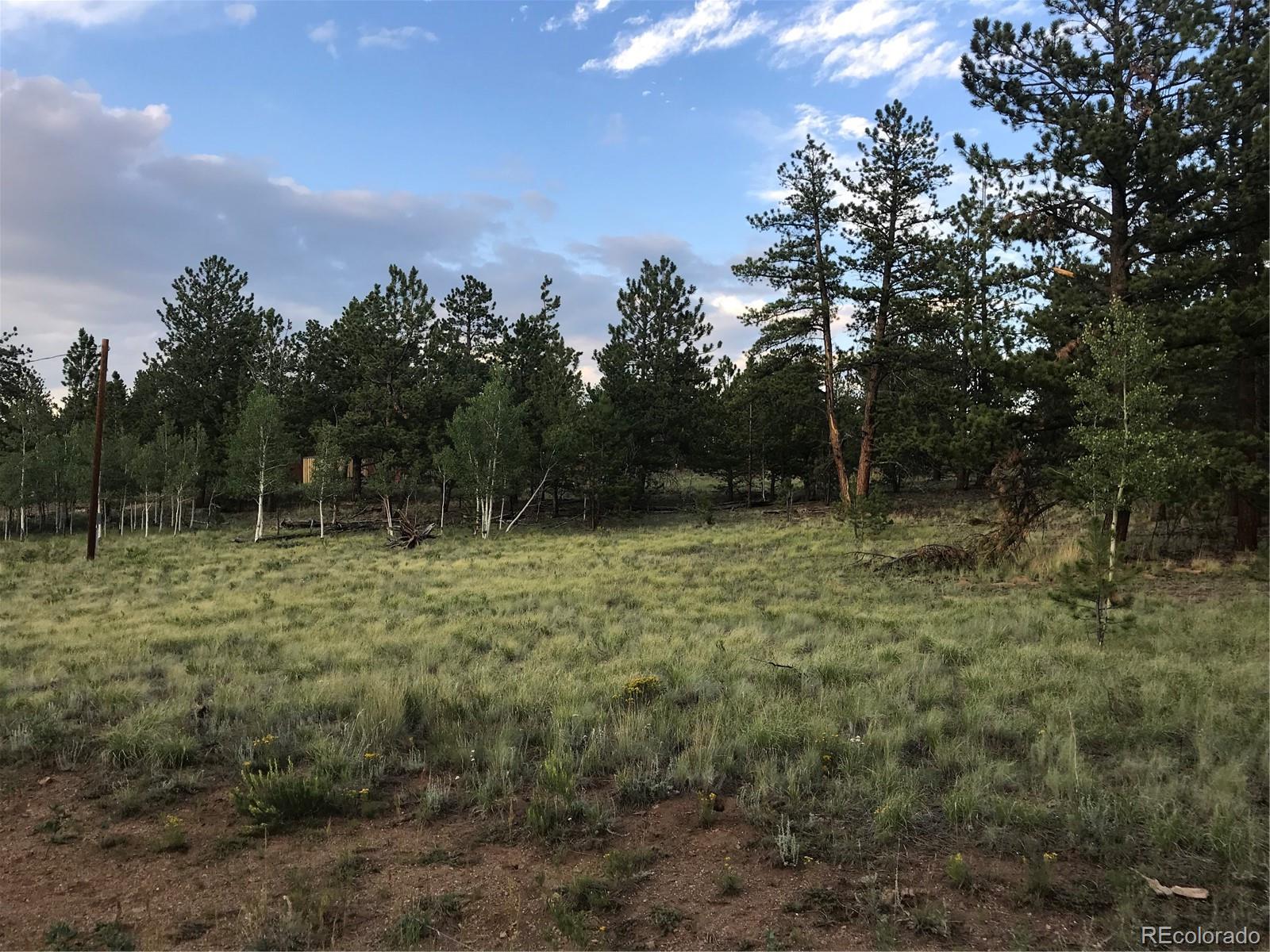 1632 Wagon Wheel Road Hartsel, CO 80449 - Photo 2 of 7 Gallery Image 2