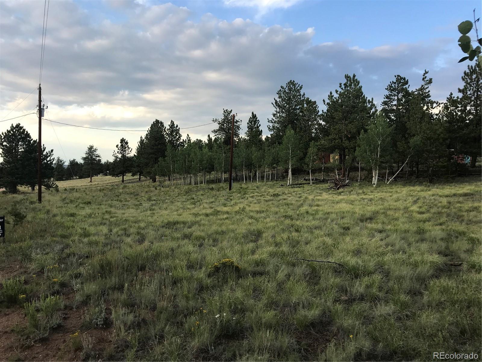 1632 Wagon Wheel Road Hartsel, CO 80449 - Photo 3 of 7 Gallery Image 3
