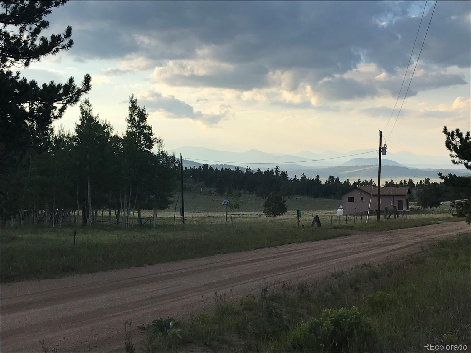 1632 Wagon Wheel Road Hartsel, CO 80449 - Photo 4 of 7 Gallery Image 4