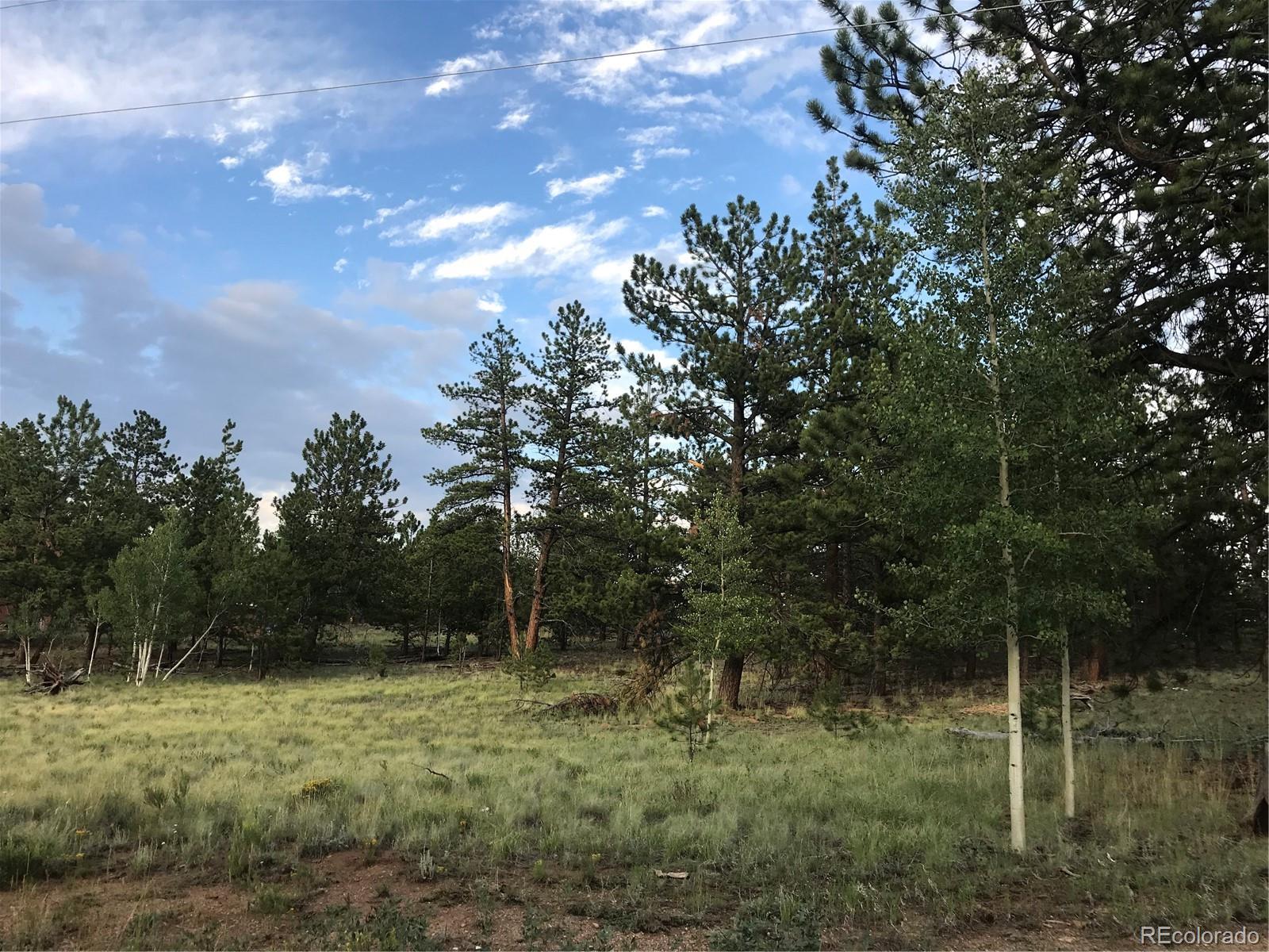 1632 Wagon Wheel Road Hartsel, CO 80449 - Photo 5 of 7 Gallery Image 5