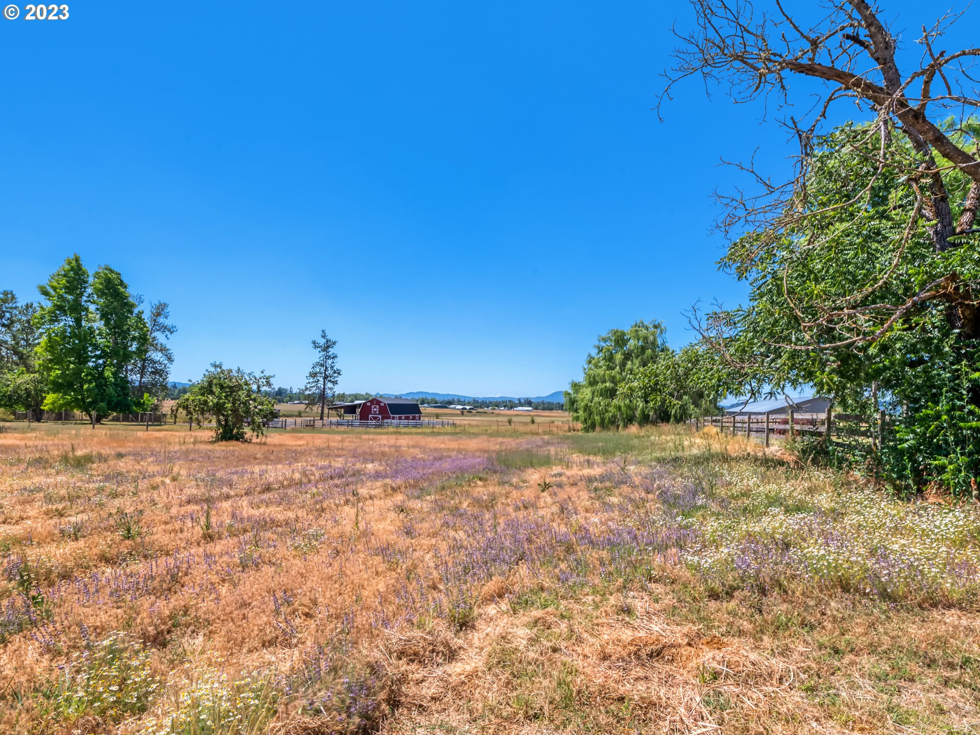 83210 Enterprise Road Creswell, OR 97426 - Photo 44 of 47
