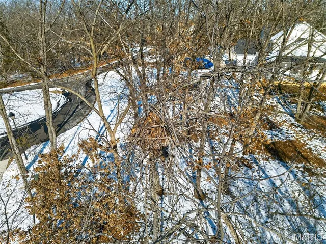 $700,000 | 506 Fennel Court, Foristell, MO 63348