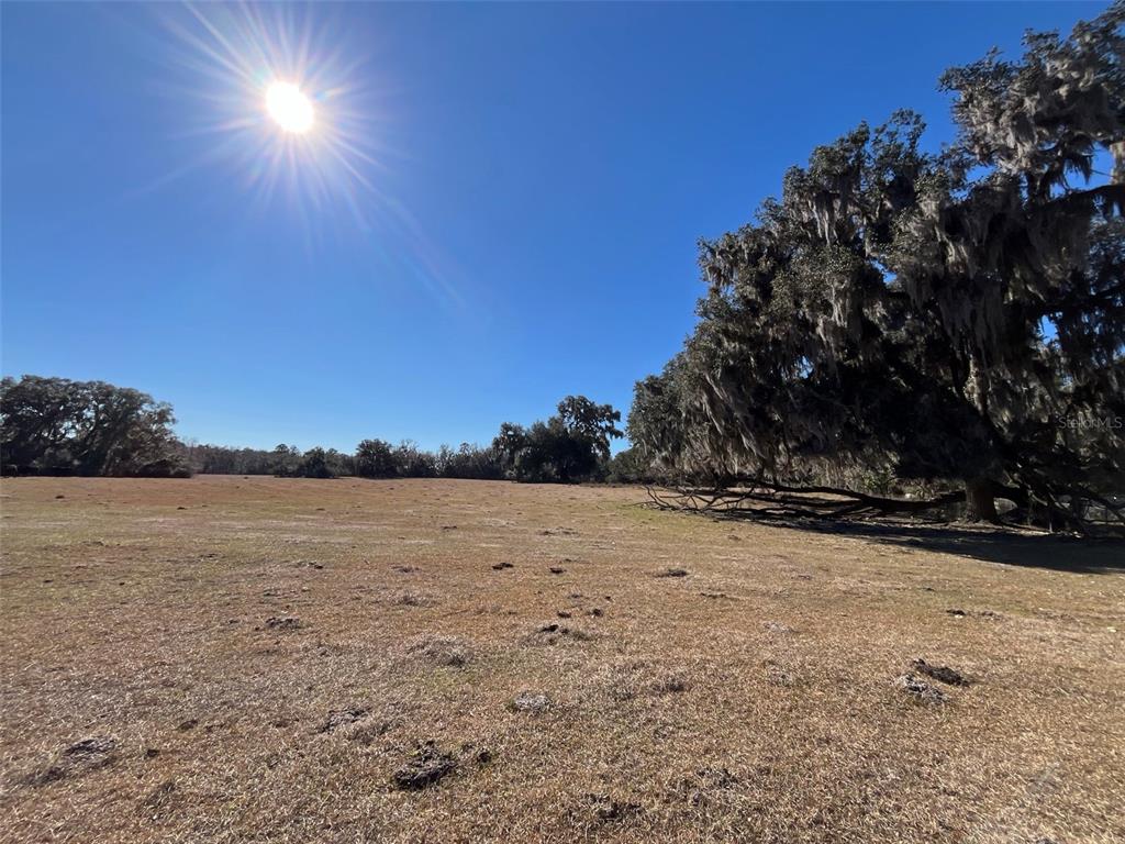 329 Micanopy Micanopy, FL 32667 - Photo 5 of 6