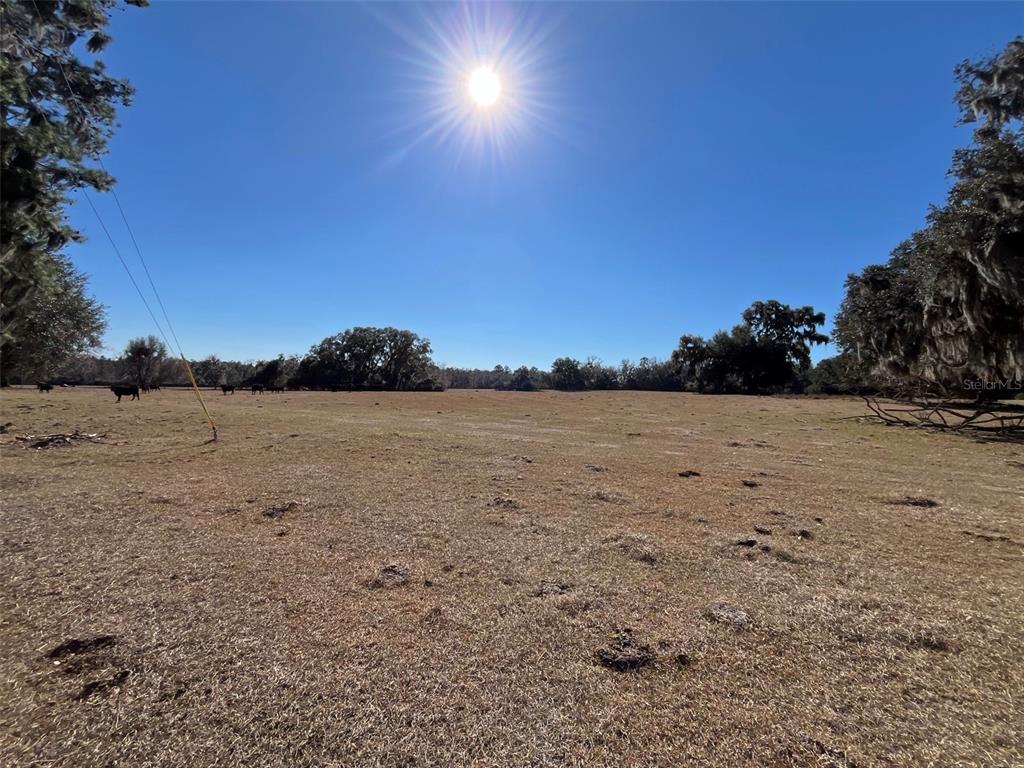 329 Micanopy Micanopy, FL 32667 - Photo 6 of 6