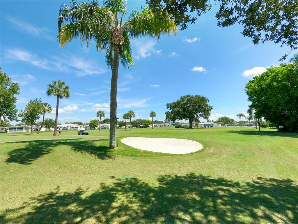 1100 South Belcher Road, Unit 719 Largo, FL 33771 - Photo 60 of 60 a view of a swimming pool and trees in the background