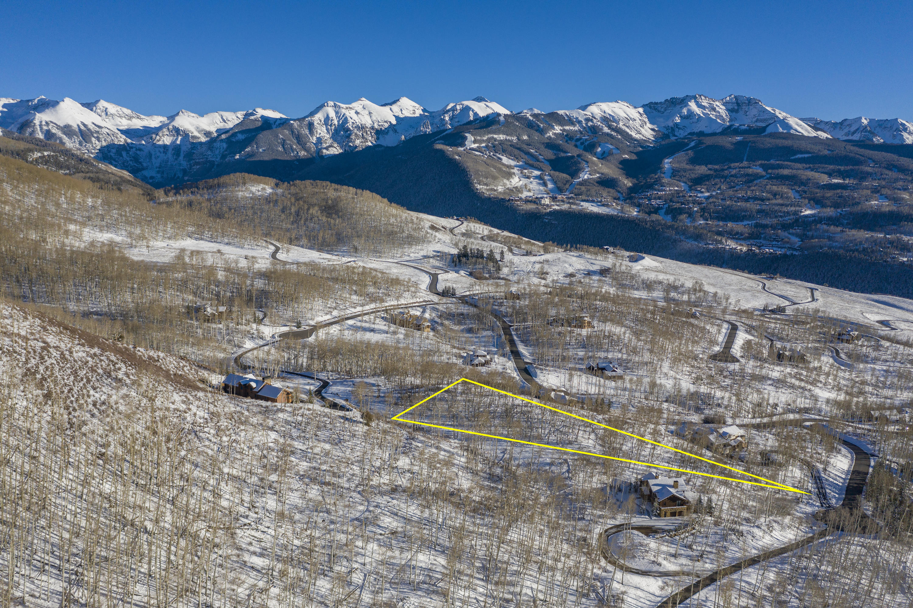 Tbd San Joaquin Road Telluride, CO 81435 - Photo 11 of 11 a vase of flowers sitting on a table