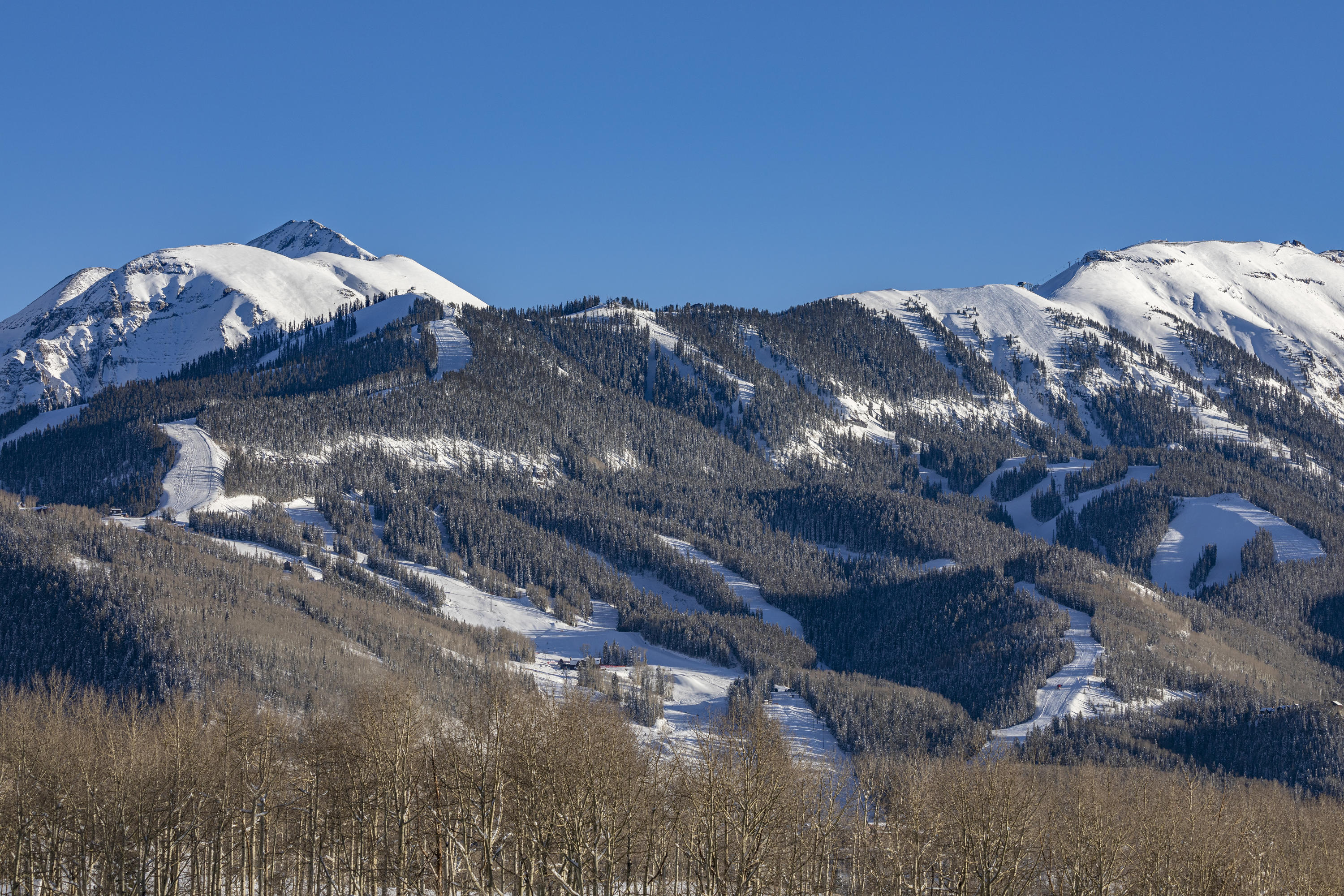 Tbd San Joaquin Road Telluride, CO 81435 - Photo 5 of 11 a view of a dry yard