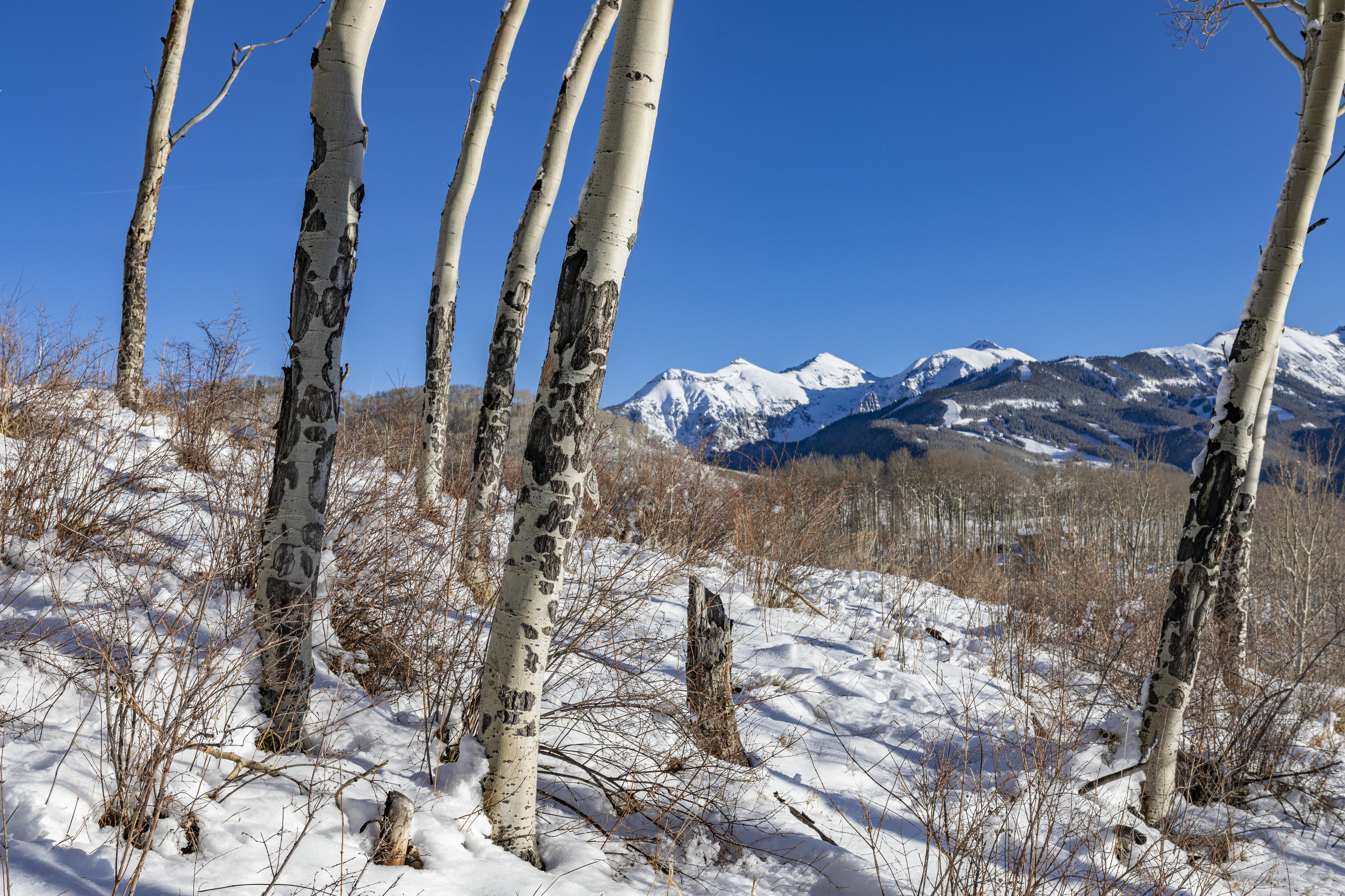 Tbd San Joaquin Road Telluride, CO 81435 - Photo 8 of 11 a view of water heater room